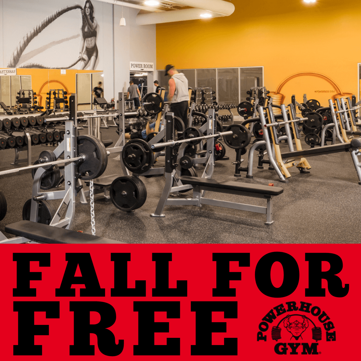 wb fall for free